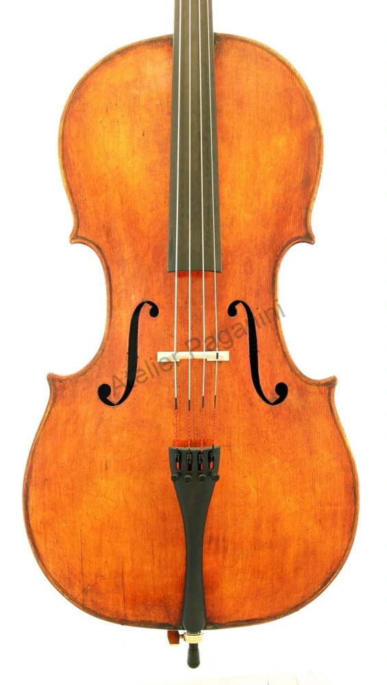 Violoncello 19. století