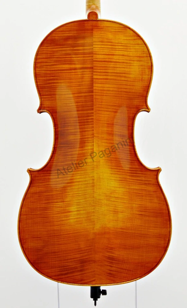 Pietro ANDREINI, Cremona 2017