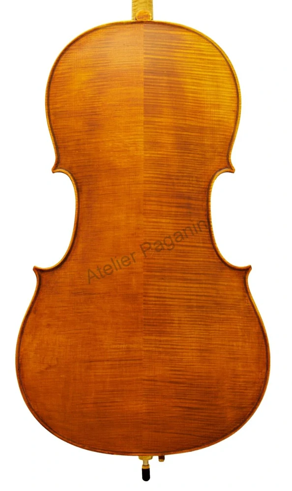 České violoncello 20. století