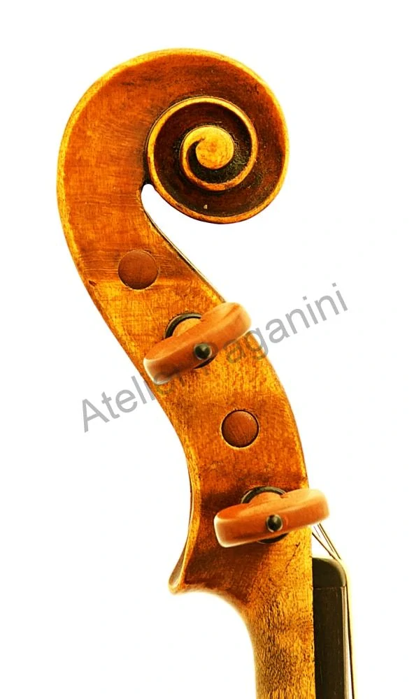 Fritz ZANKL, Litoměřice 1905