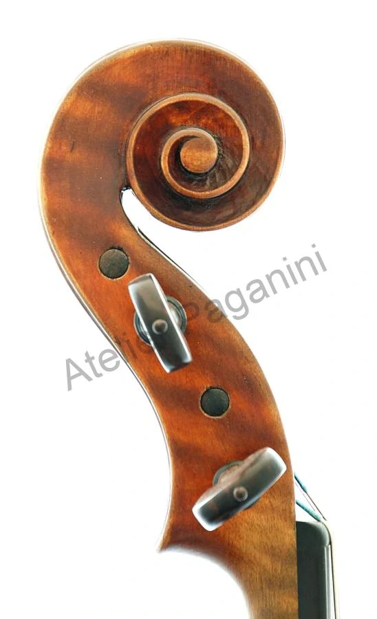Viola 20. století