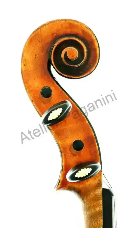 Karel Boromejský DVOŘÁK 1894