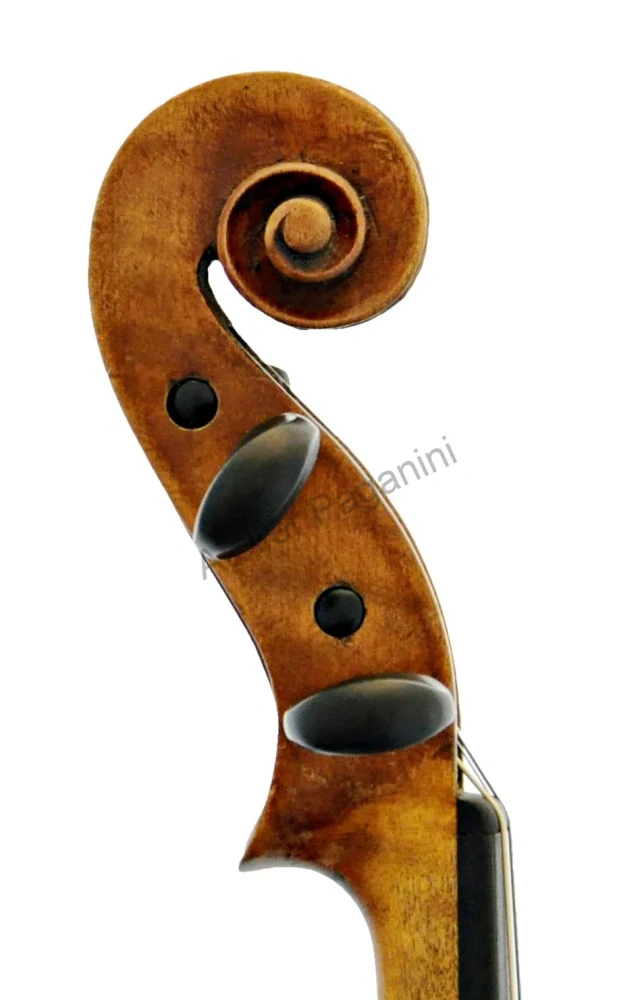 Housle Schönbach cca 1900