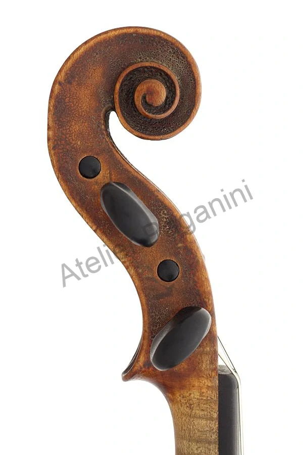 Emanuel Adam HOMOLKA 1835