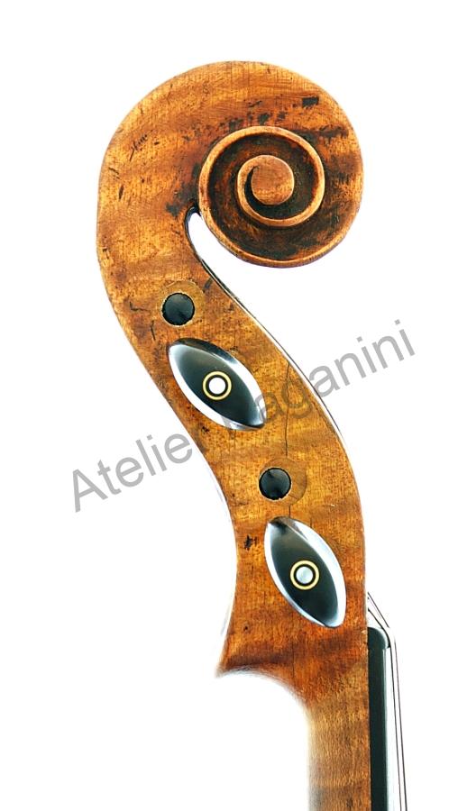 Saská viola cca 1900