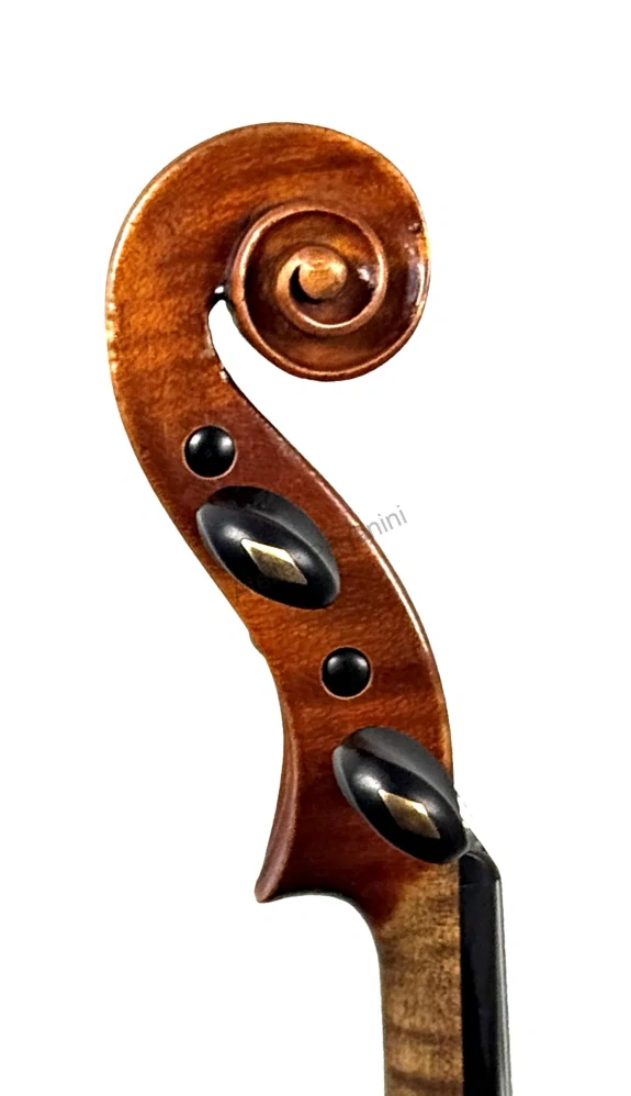 Ladislav F. Prokop sen. Chrudim 1909