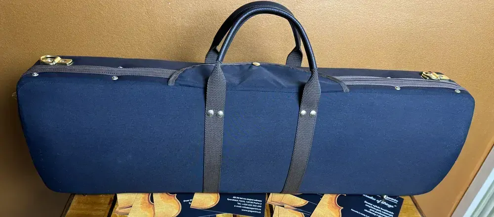 Lievissima Evolution