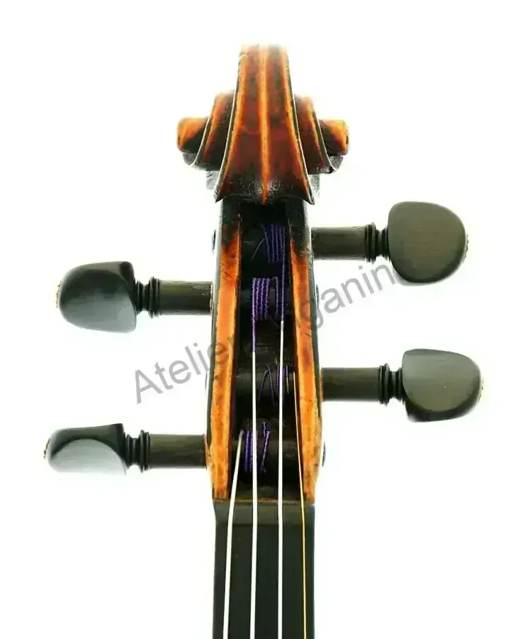 Karel Boromejský DVOŘÁK 1894