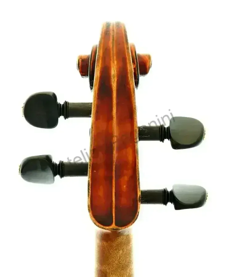 Karel Boromejský DVOŘÁK 1894