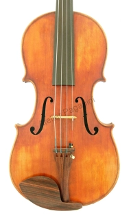 Viola 20. století