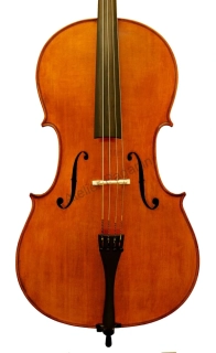 České violoncello 20. století