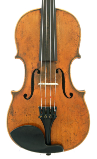 Saská viola cca 1900