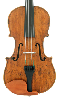 Saská viola cca 1900